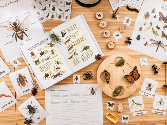 Bug Unit Study