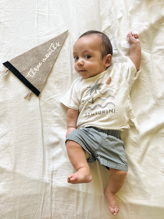 Sawyer | Three Month Update