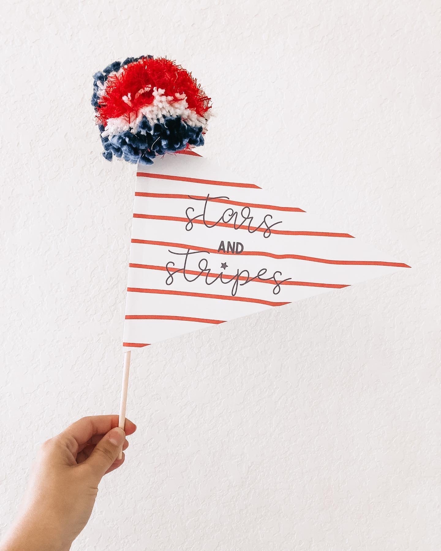 Fourth of July Pennant Flags
