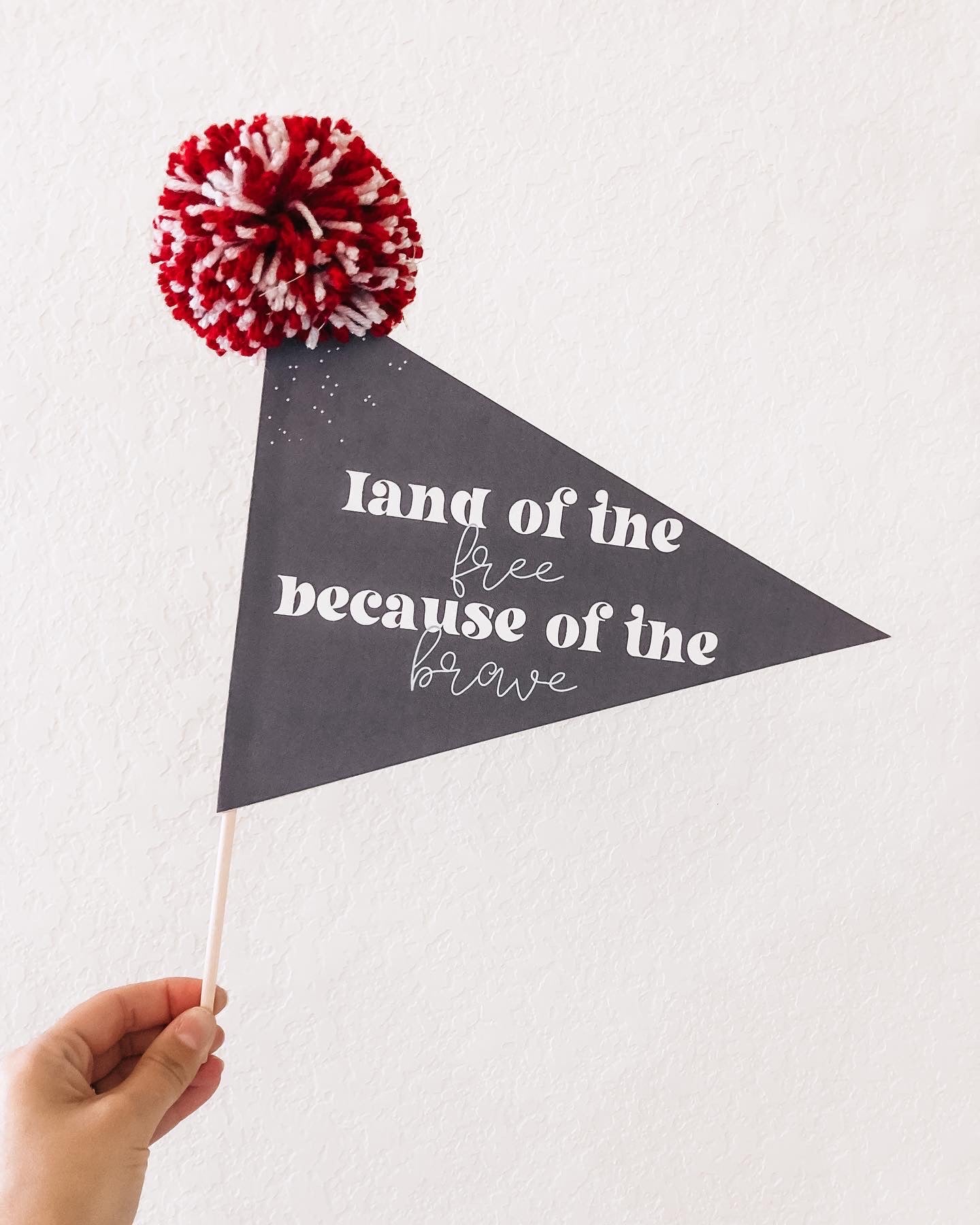 Fourth of July Pennant Flags