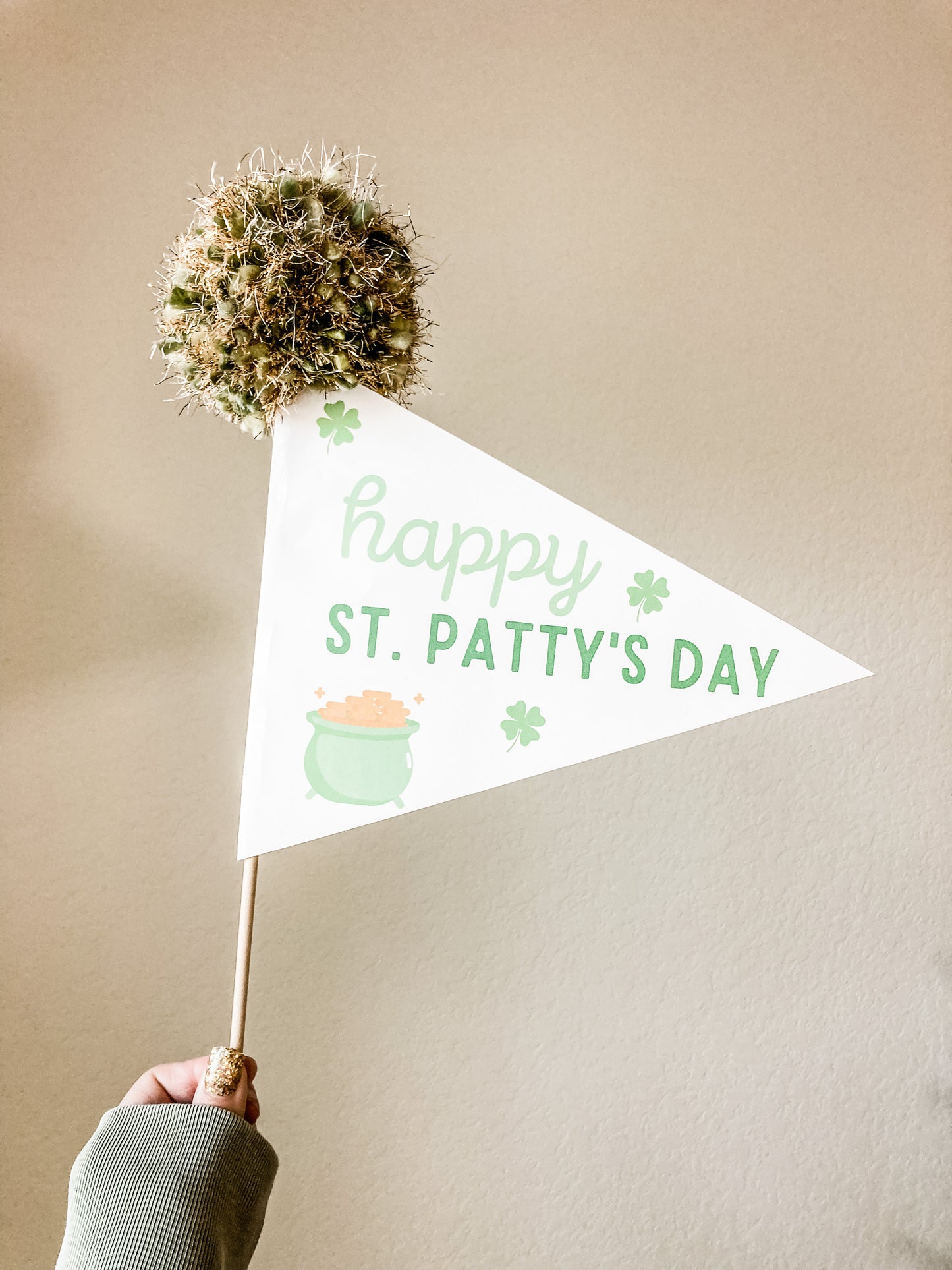 St. Patrick's Day Pennant Flags
