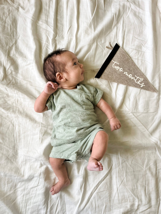 Sawyer | Two Month Update