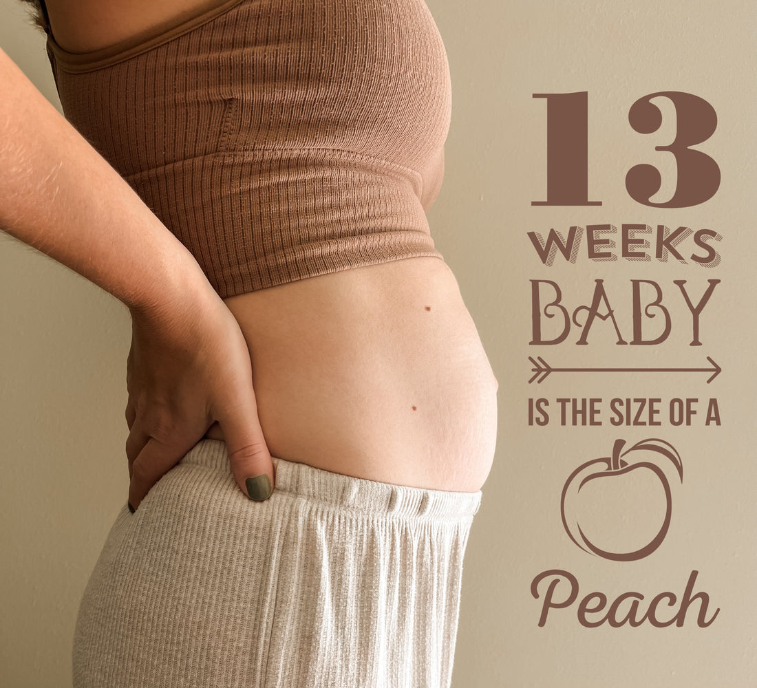 Bumpdate | 13 Weeks