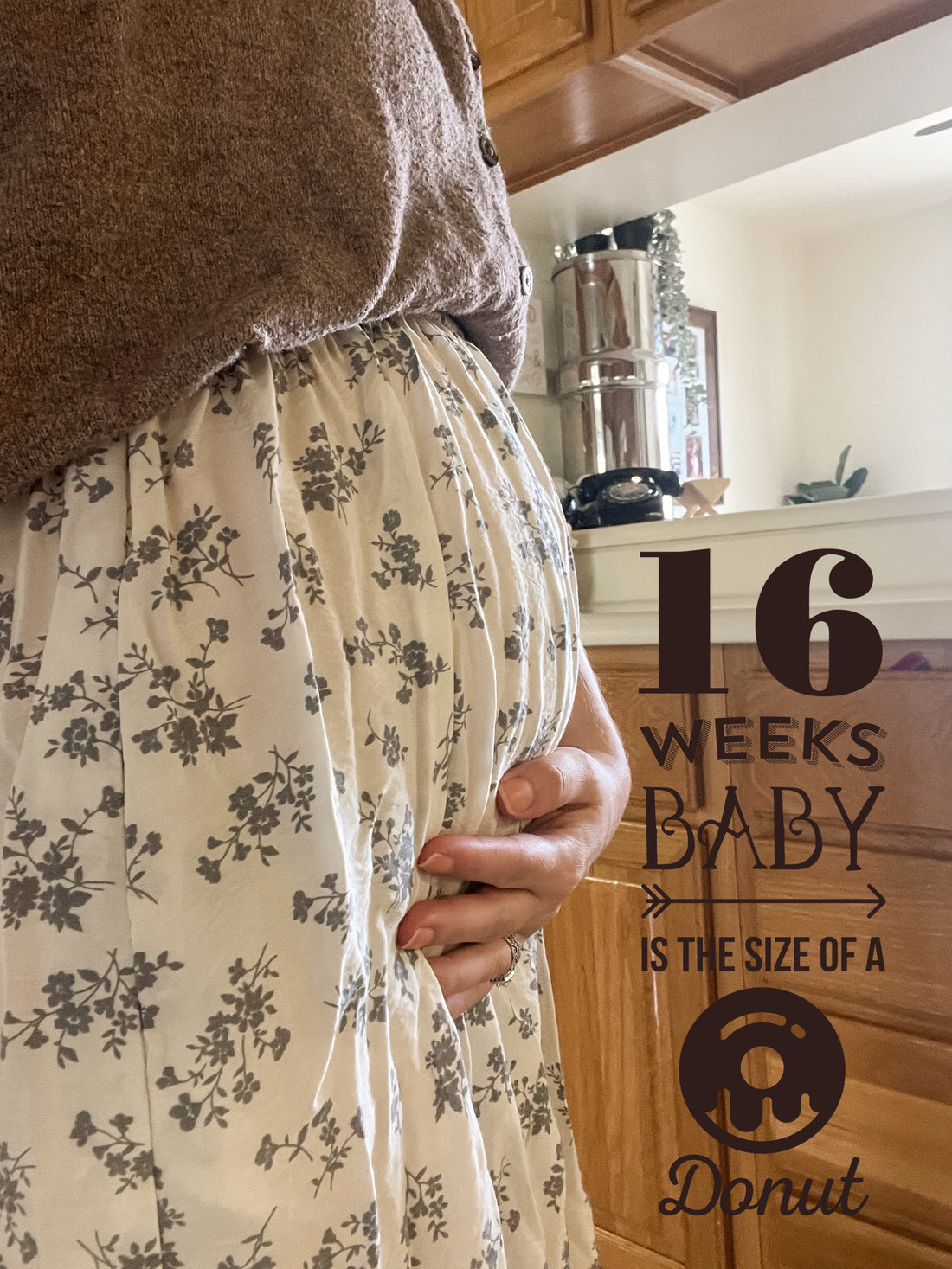 Bumpdate | 16 Weeks