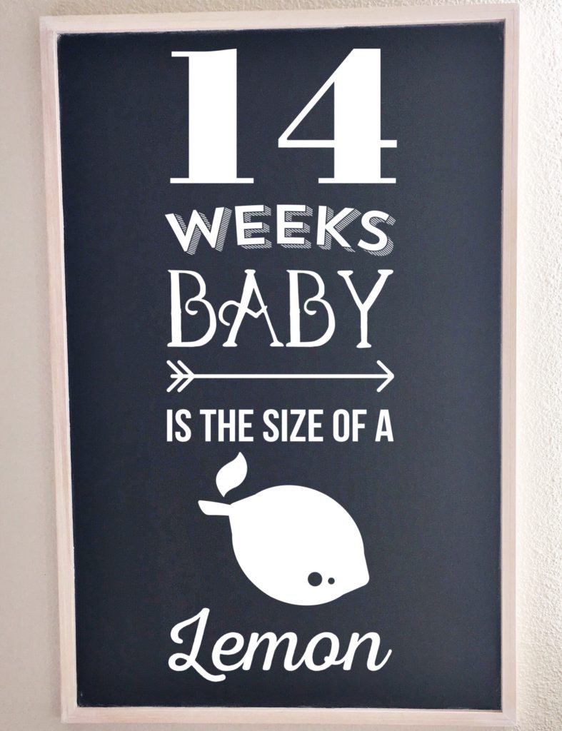 Bumpdate | 14 Weeks