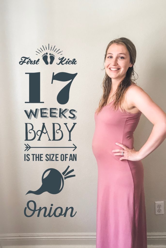 Bumpdate | 17 Weeks