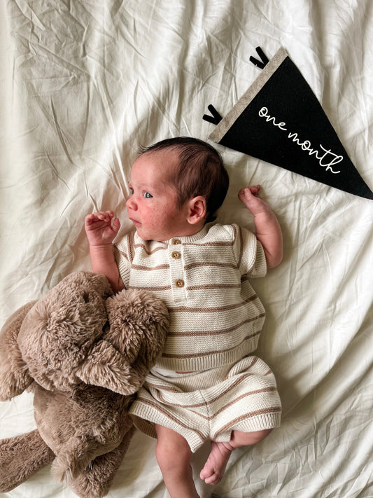 Sawyer | One Month Update