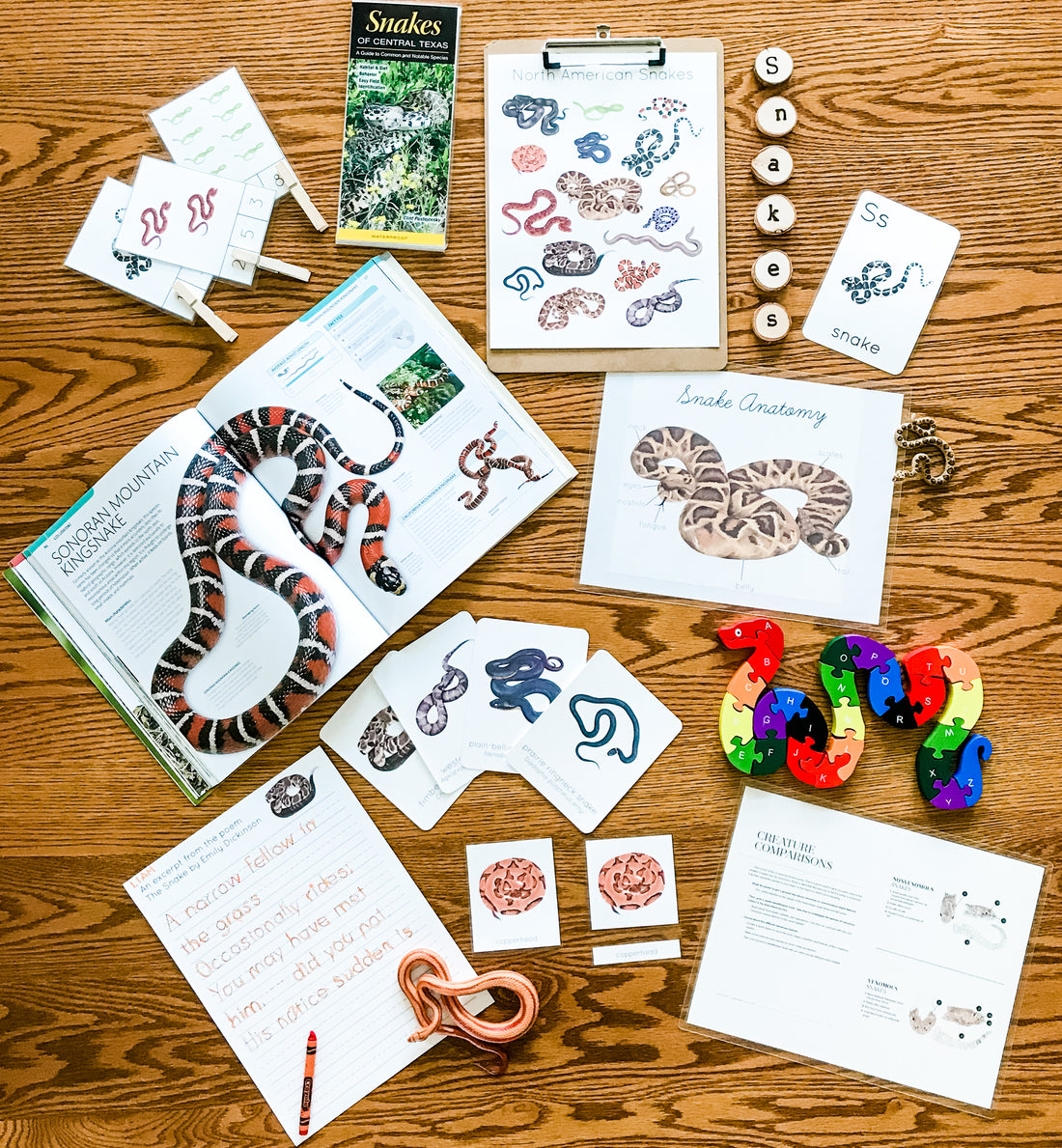 Snake Unit Study