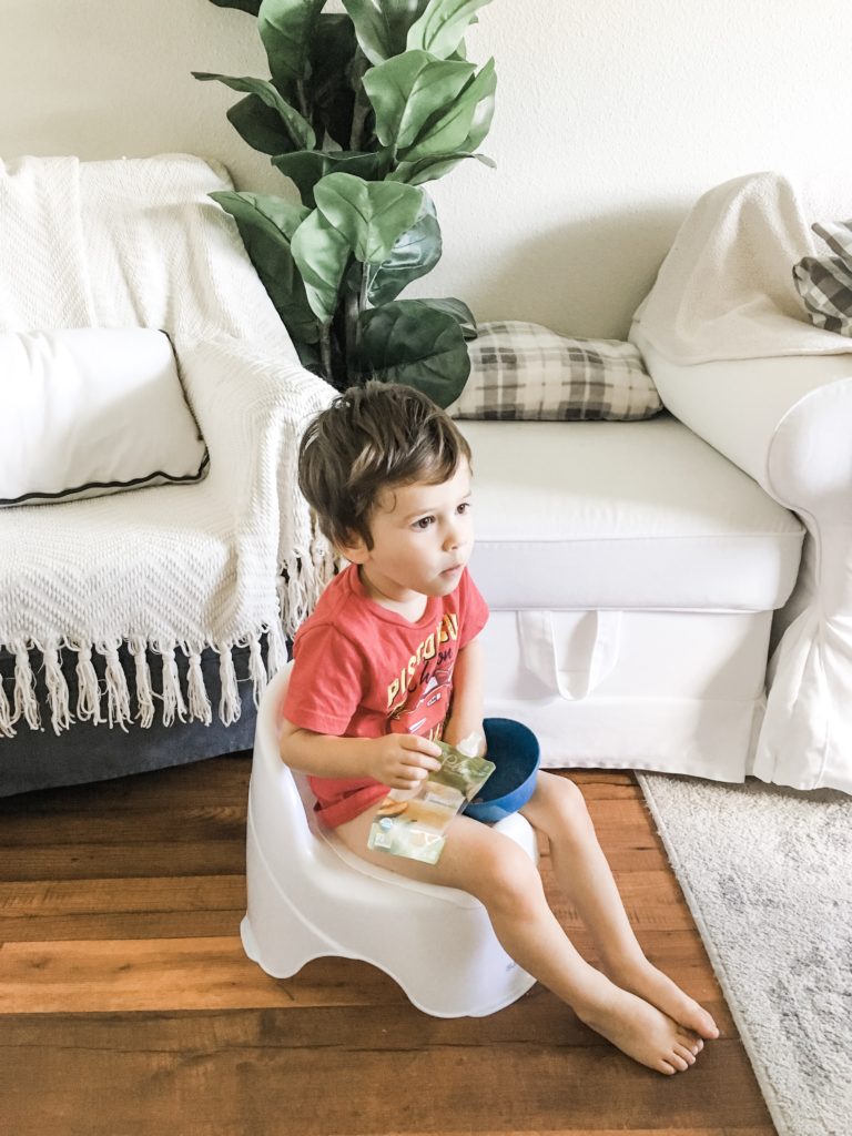 Potty Training the Twins