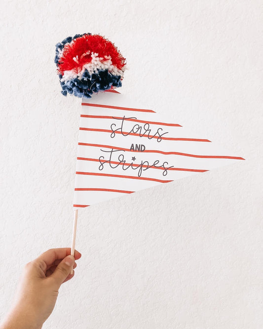 Fourth of July Pennant Flags